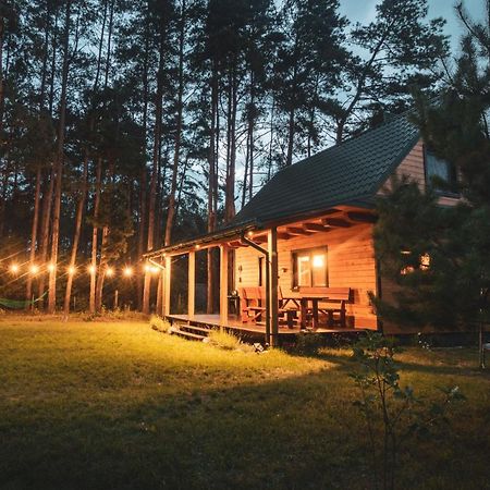 Lesna 21 Dom Poludnie Przy Puszcza Bialowieska Luka 외부 사진