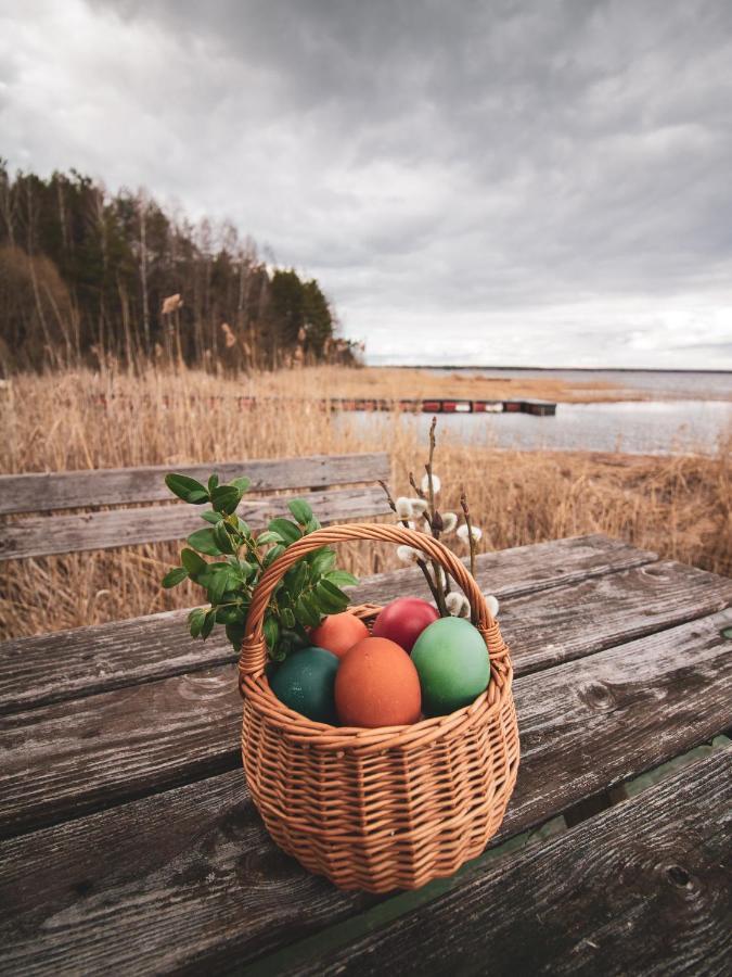 Lesna 21 Dom Poludnie Przy Puszcza Bialowieska Luka 외부 사진