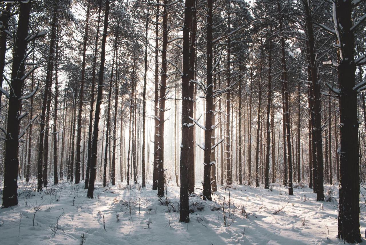 Lesna 21 Dom Poludnie Przy Puszcza Bialowieska Luka 외부 사진