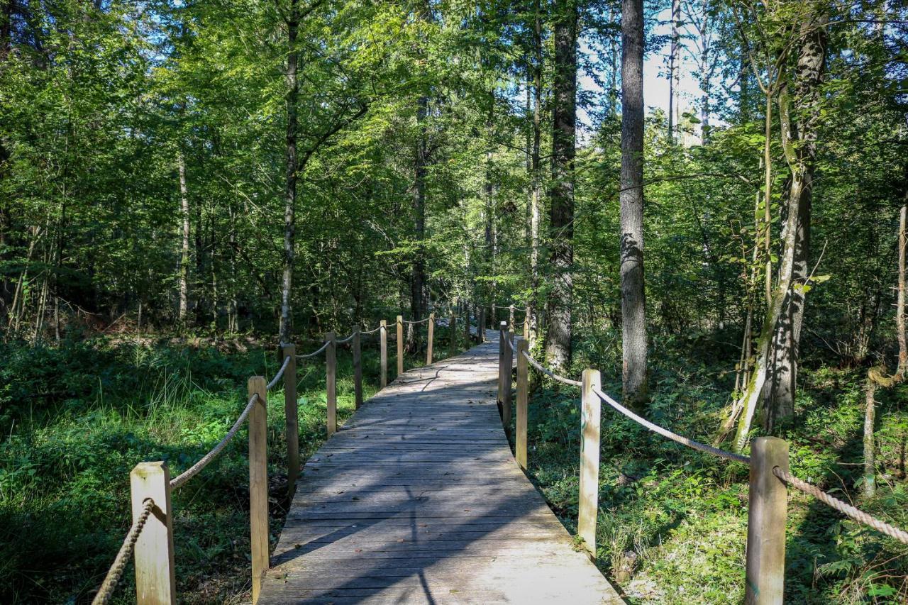 Lesna 21 Dom Poludnie Przy Puszcza Bialowieska Luka 외부 사진