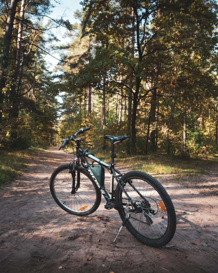 Lesna 21 Dom Poludnie Przy Puszcza Bialowieska Luka 외부 사진