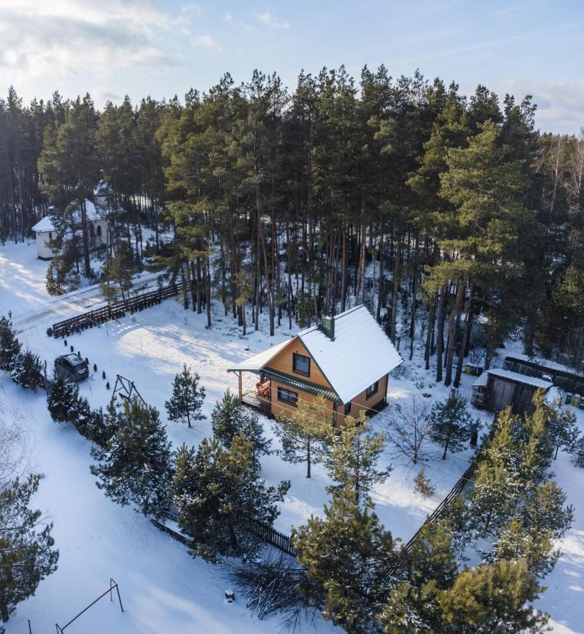 Lesna 21 Dom Poludnie Przy Puszcza Bialowieska Luka 외부 사진
